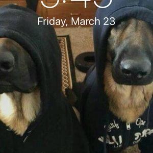 Meet your Posher, Denise